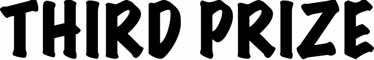 Third Prize